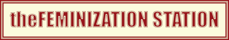 #1 Logo – The Feminization Station – Wordpress Site Banner.JPG
