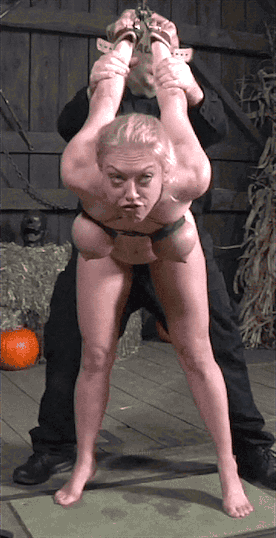 1679789837.gif