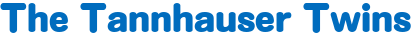 1703530582653.png