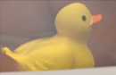 1736756246829.png