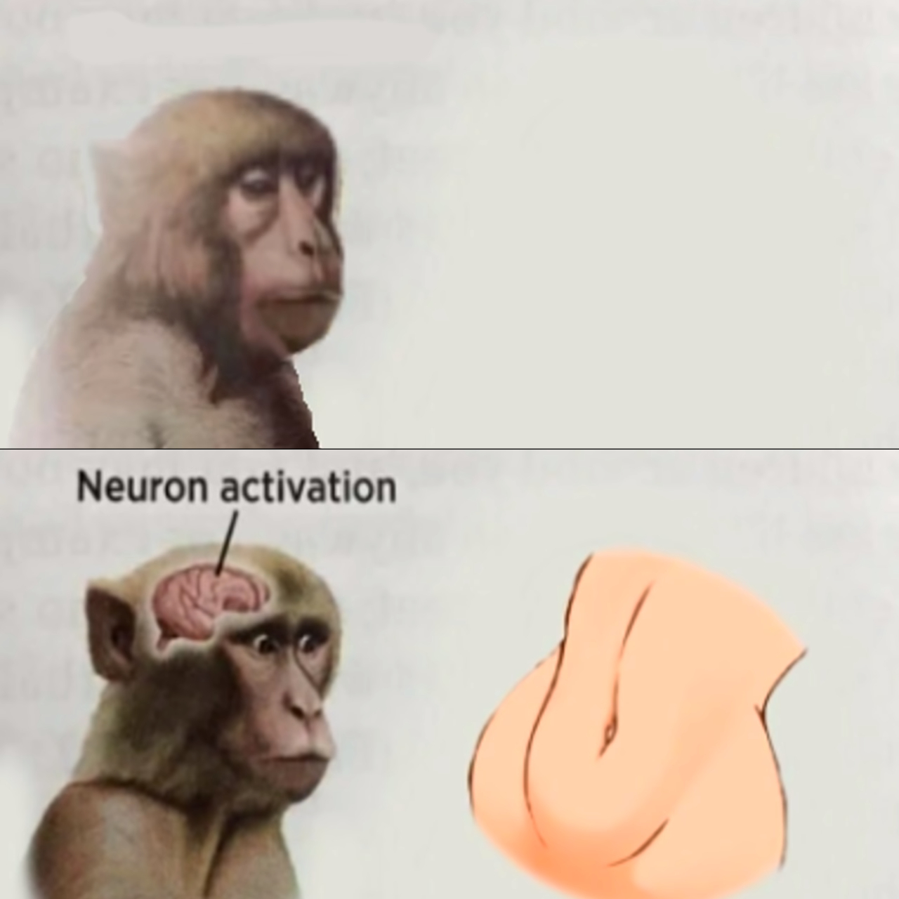 1759927476131.png