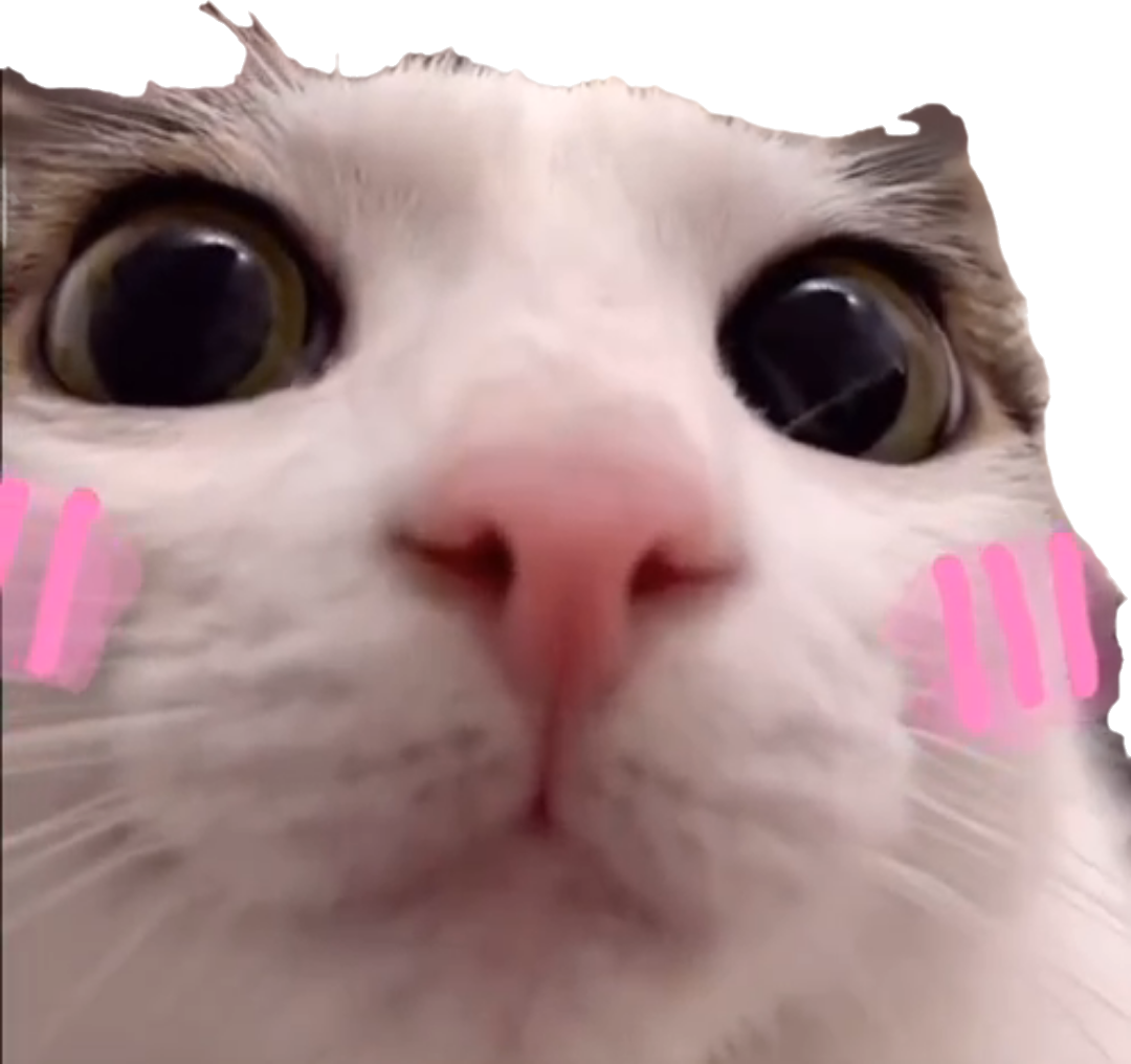 1773614374398.png