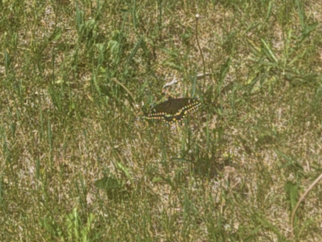 1780500734259.png