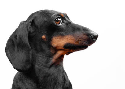 1791820346632.png