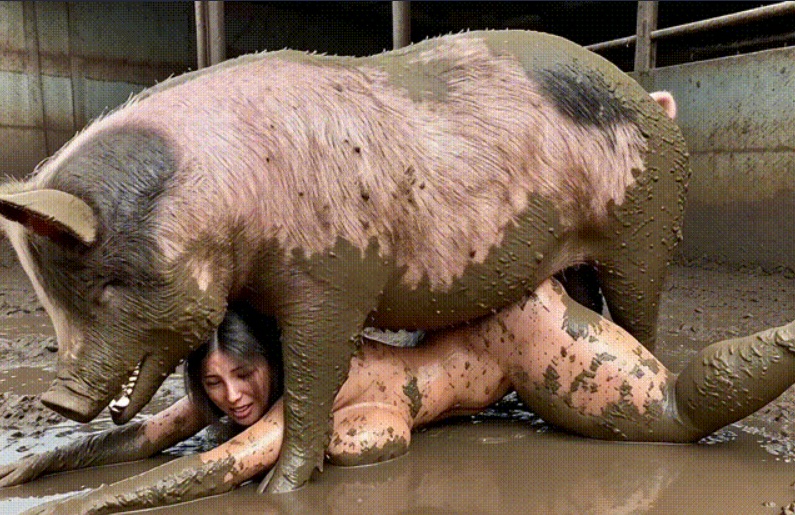 1schwein.jpg