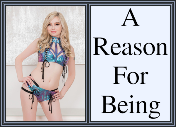 [2021-05-22] A Reason For Being by Nikki S. Jenkins – Cover.JPG