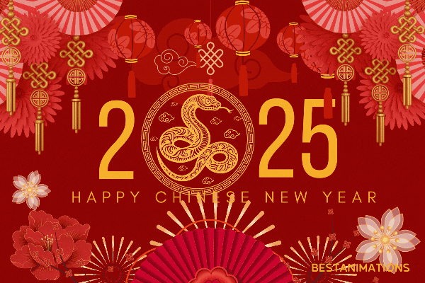 2025.gif