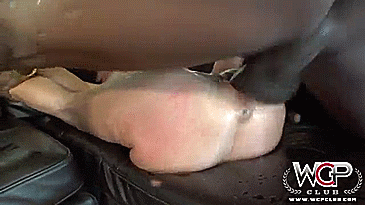 550918532.gif