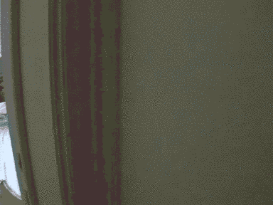 907571508.gif