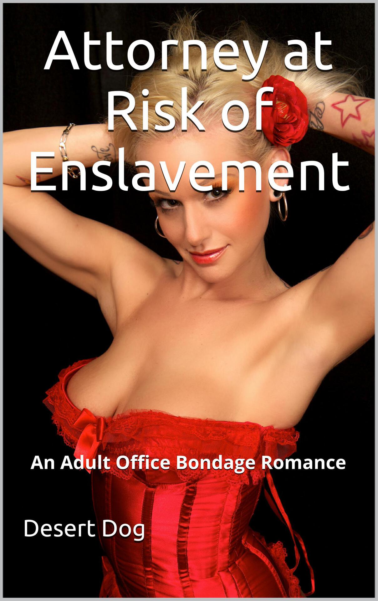 Attorney at Risk of Enslavement_ An Adult Office Bondage Romance - Desert Dog.jpg