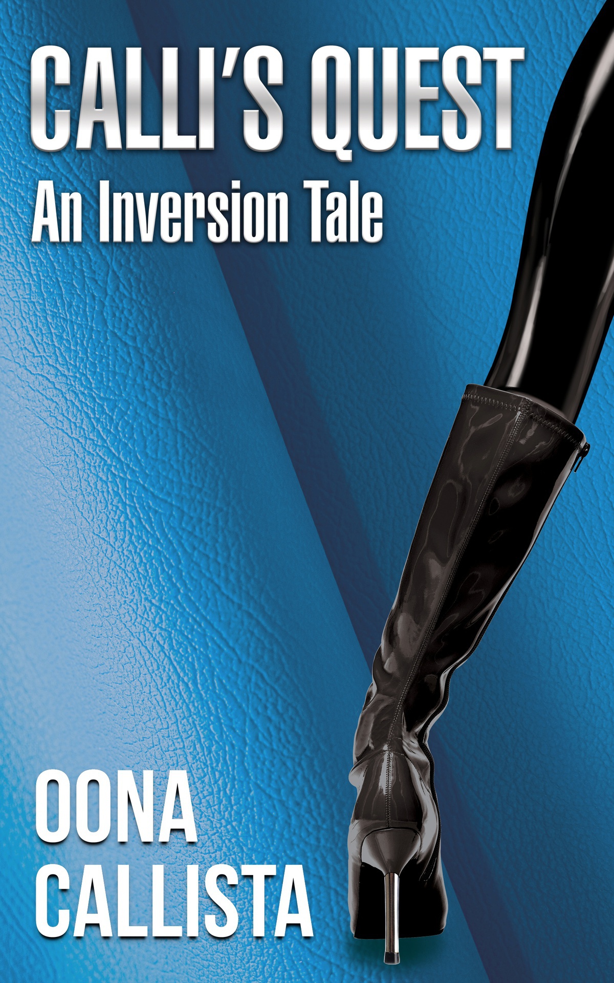 Calli's Quest_ An Inversion Tale - Oona Callista.jpg