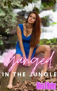cover sm.jpg
