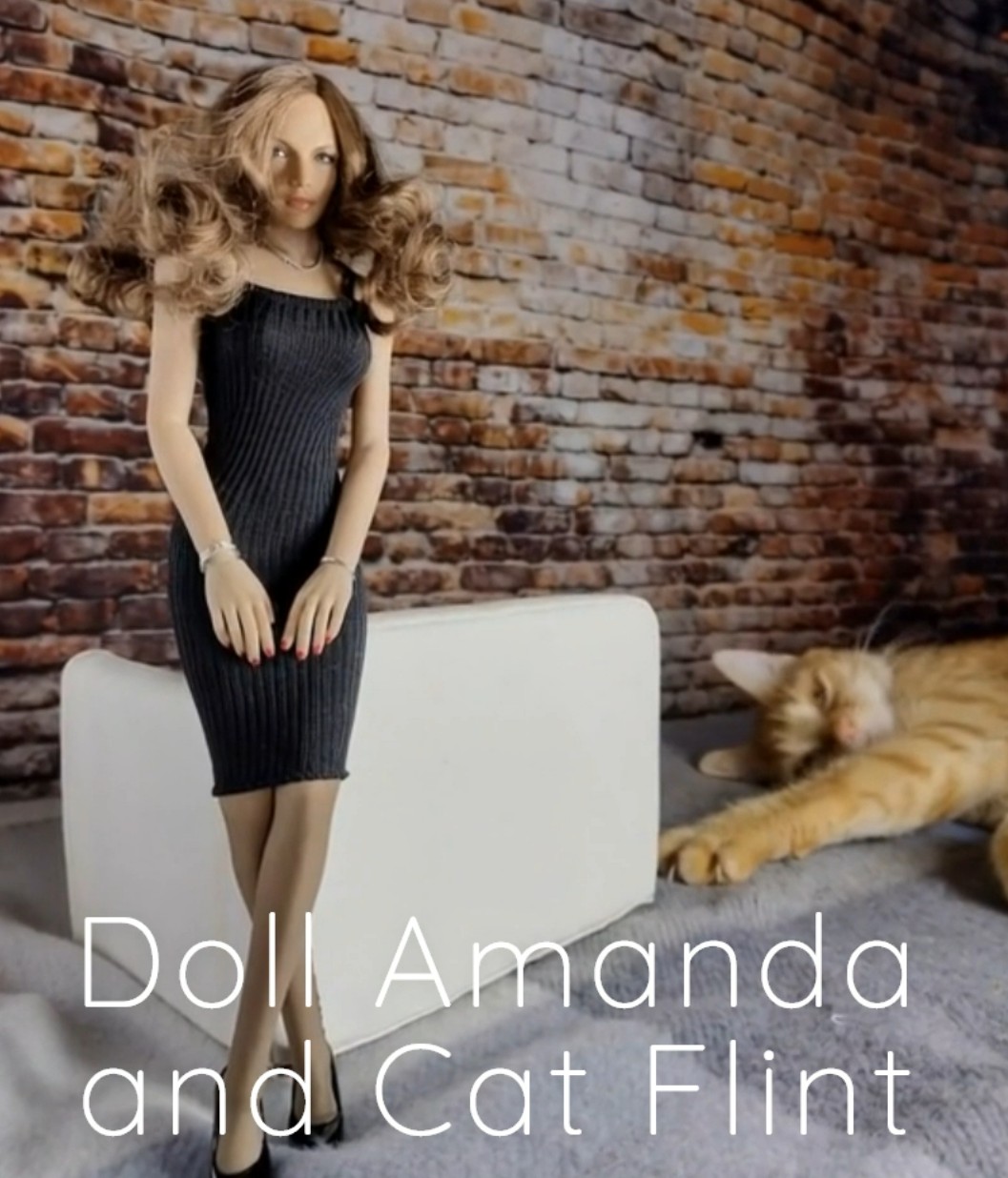Doll Amanda and Cat Flint screenshot.jpg