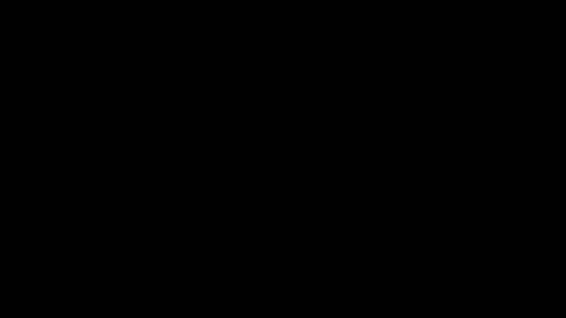 Flipside BFF 01.gif