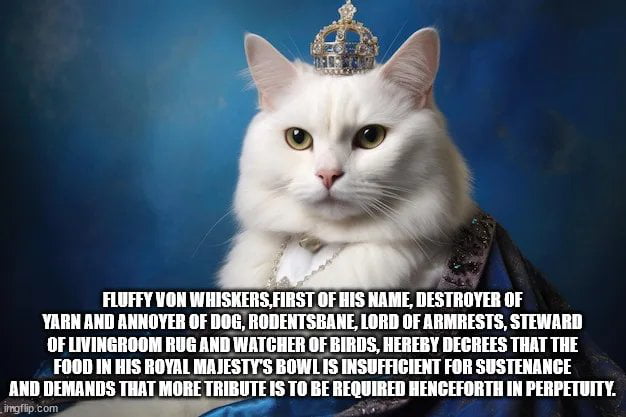 fluffy von whiskers.jpg