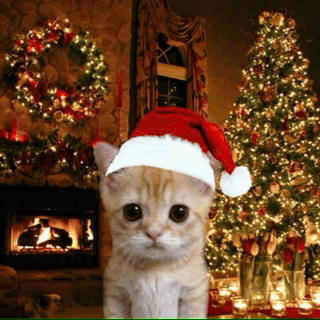 gif-meme.gif