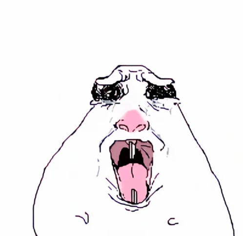 hamster.gif