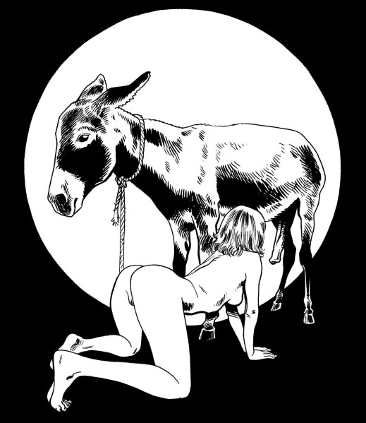 How It All Began - My Intoxicated Fiance's Donkey Encounter.jpg