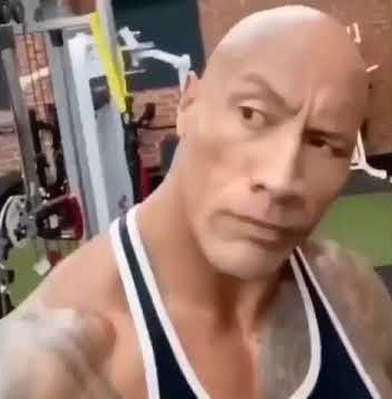 hqdefault.jpg