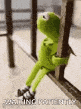 IMG_5990.gif