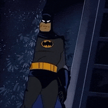 IMG_8988.gif