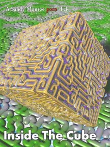 Inside the Cube.jpg
