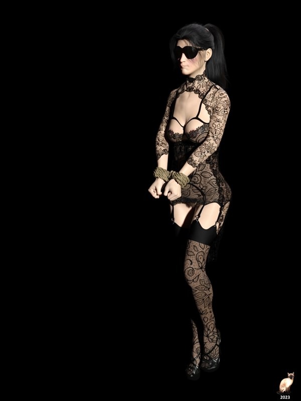 Kathy bound in sexy outfit_27_11zon.jpg