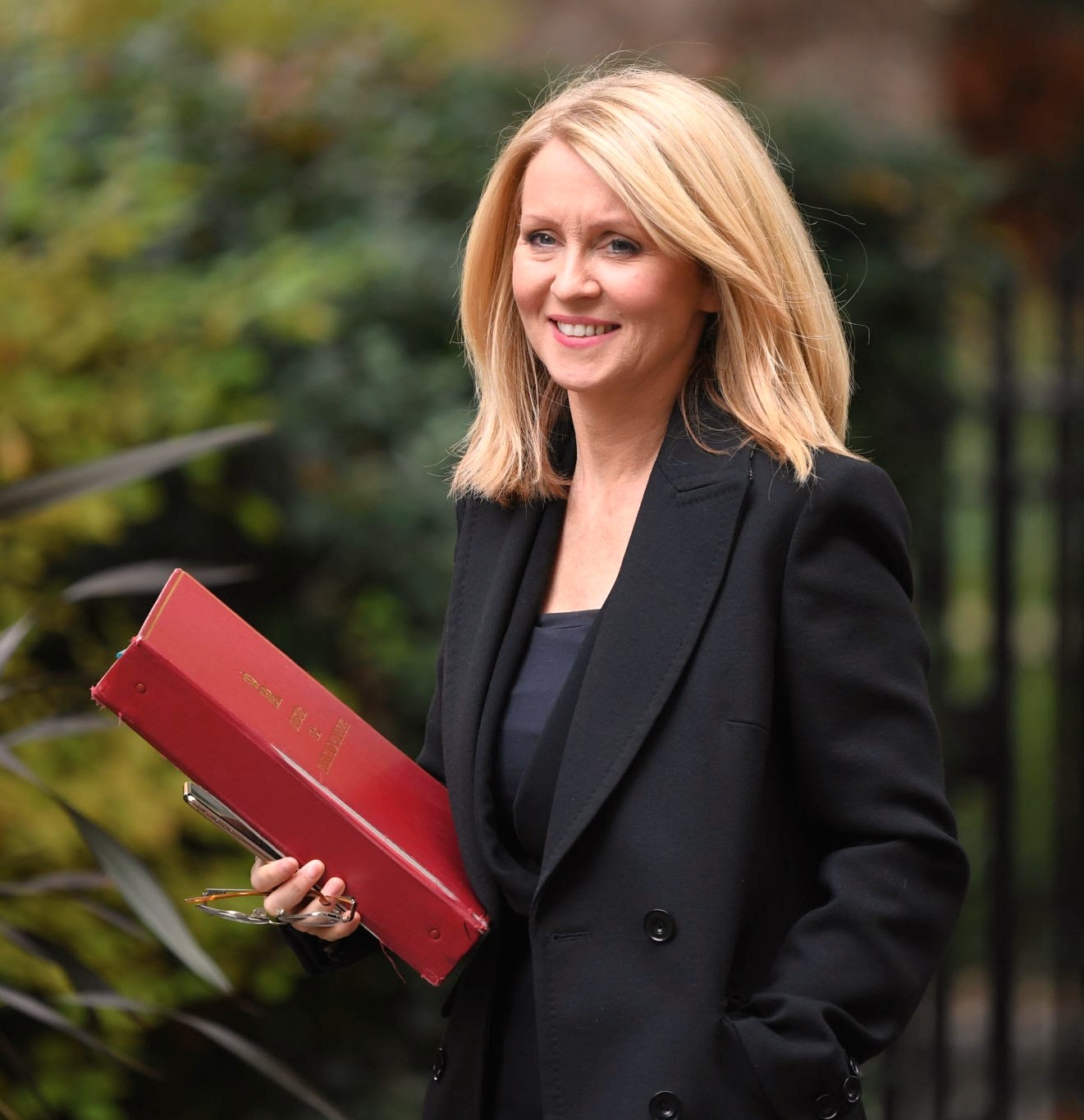 licensed-image.jpg