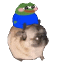 pepe.gif