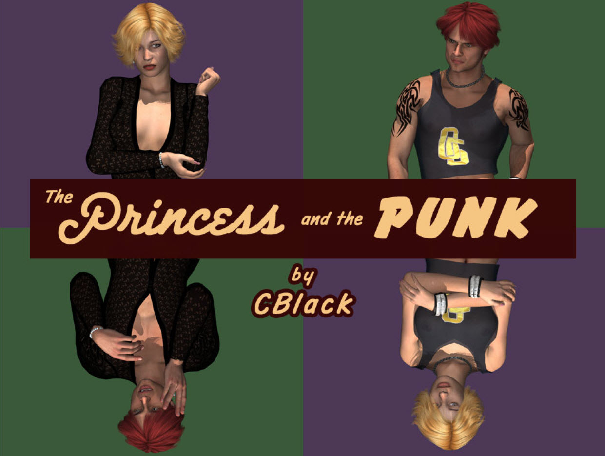 Princess and the Punk.jpg