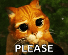 Puss in Boots - Please.gif