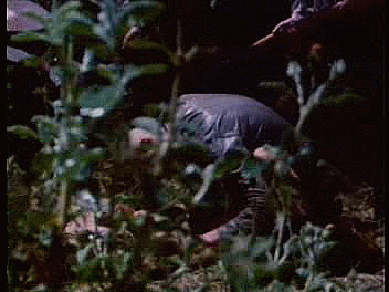 rape8.gif