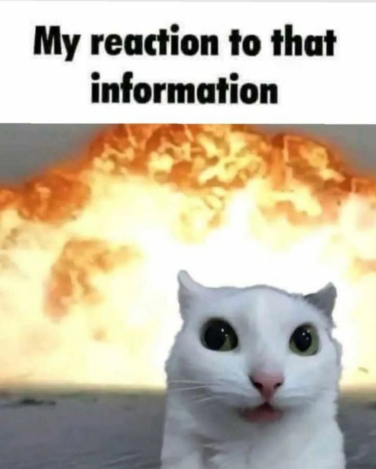 rctn.png