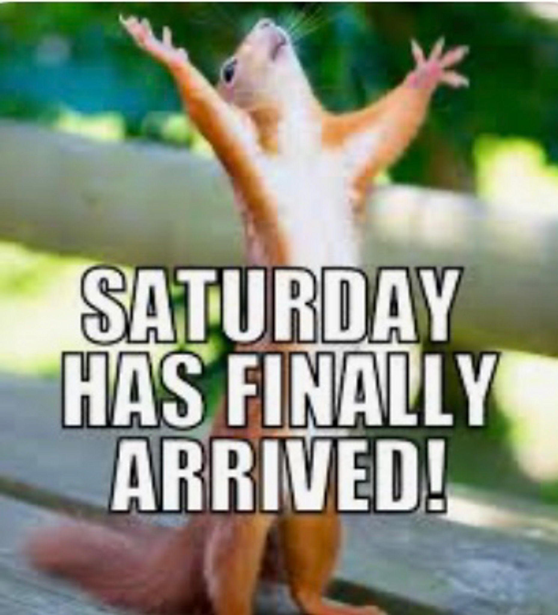 Saturday.jpg