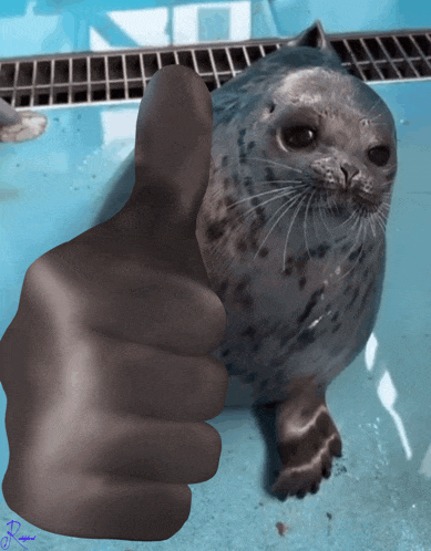 seals-seal.gif