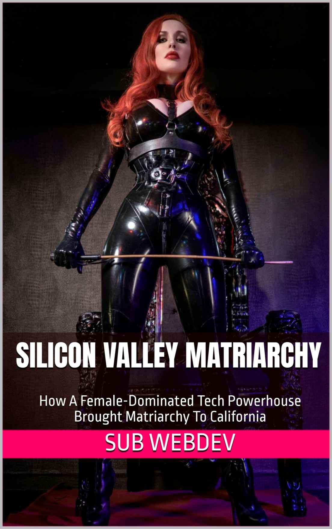 Silicon Valley Matriarchy _ How A Female-Dominated Tech Powerhouse Brought Matriarchy To Calif...jpg