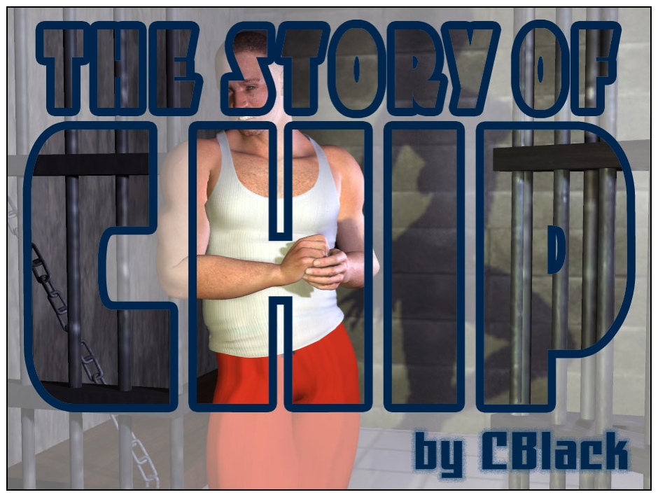 story_of_chip_cover.jpg