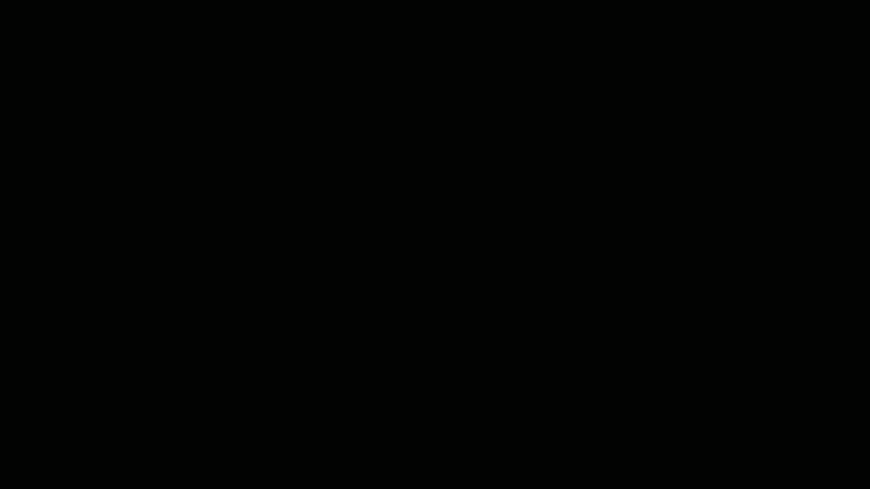 Tian Xinche.gif