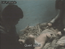 tumblr_neuemsfwcq1tx2lkpo1_400.gif