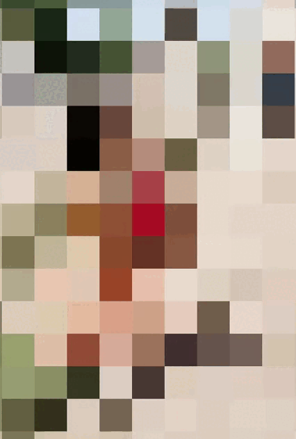 V17.gif