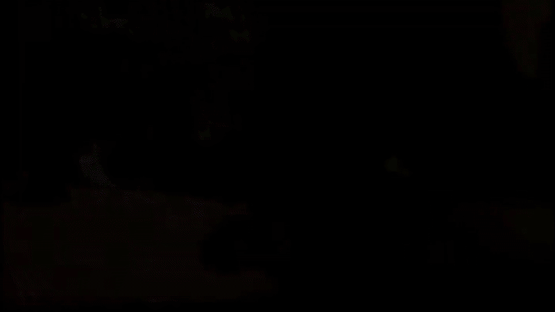 Wile E. (WS).gif