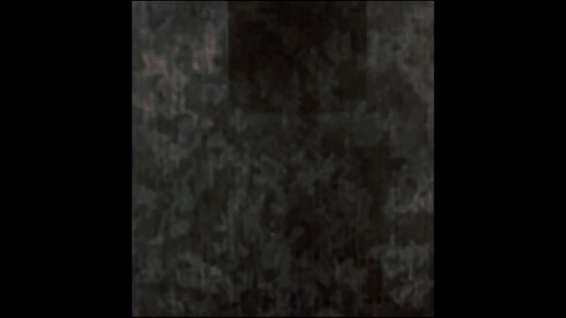 Woof 2.gif