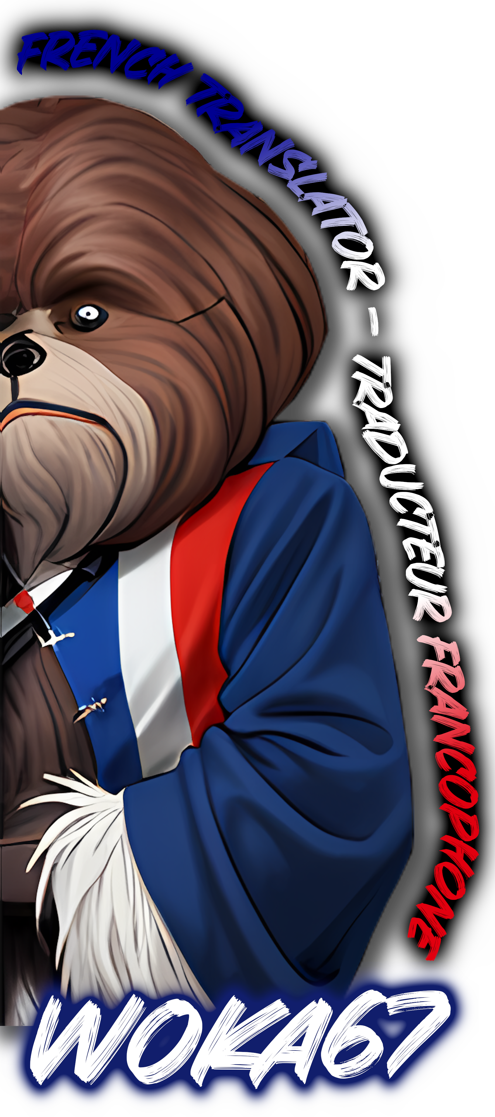 Wookieflag - shadow retake.png