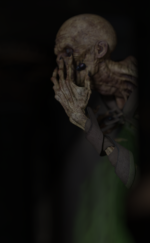 019.png