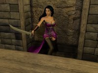 0893：swashbuckling_senorita_by_sinistermarauder_deuczvz.jpg