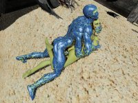 1253：Leech_on_the_Beach.jpg