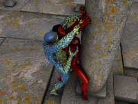 1318：the_arena_by_sinistermarauder_dgzpva0.jpg