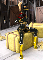 2023_11_26_New_PonyGirl_Amber_Fiitted_Out_by_Broadsword1964_995416609.png