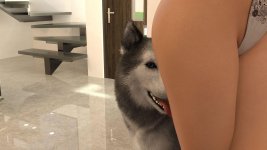 6 (8).jpg 6 (8).jpg