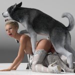 Dany Dog 603.jpg